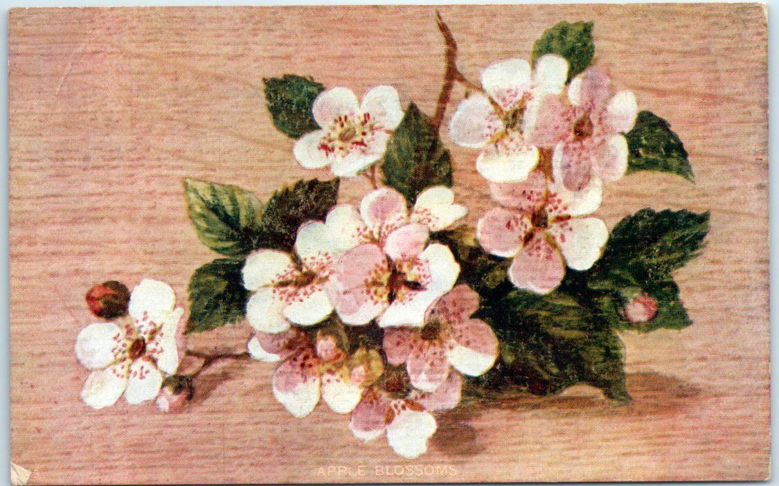Postcard - Flower Print