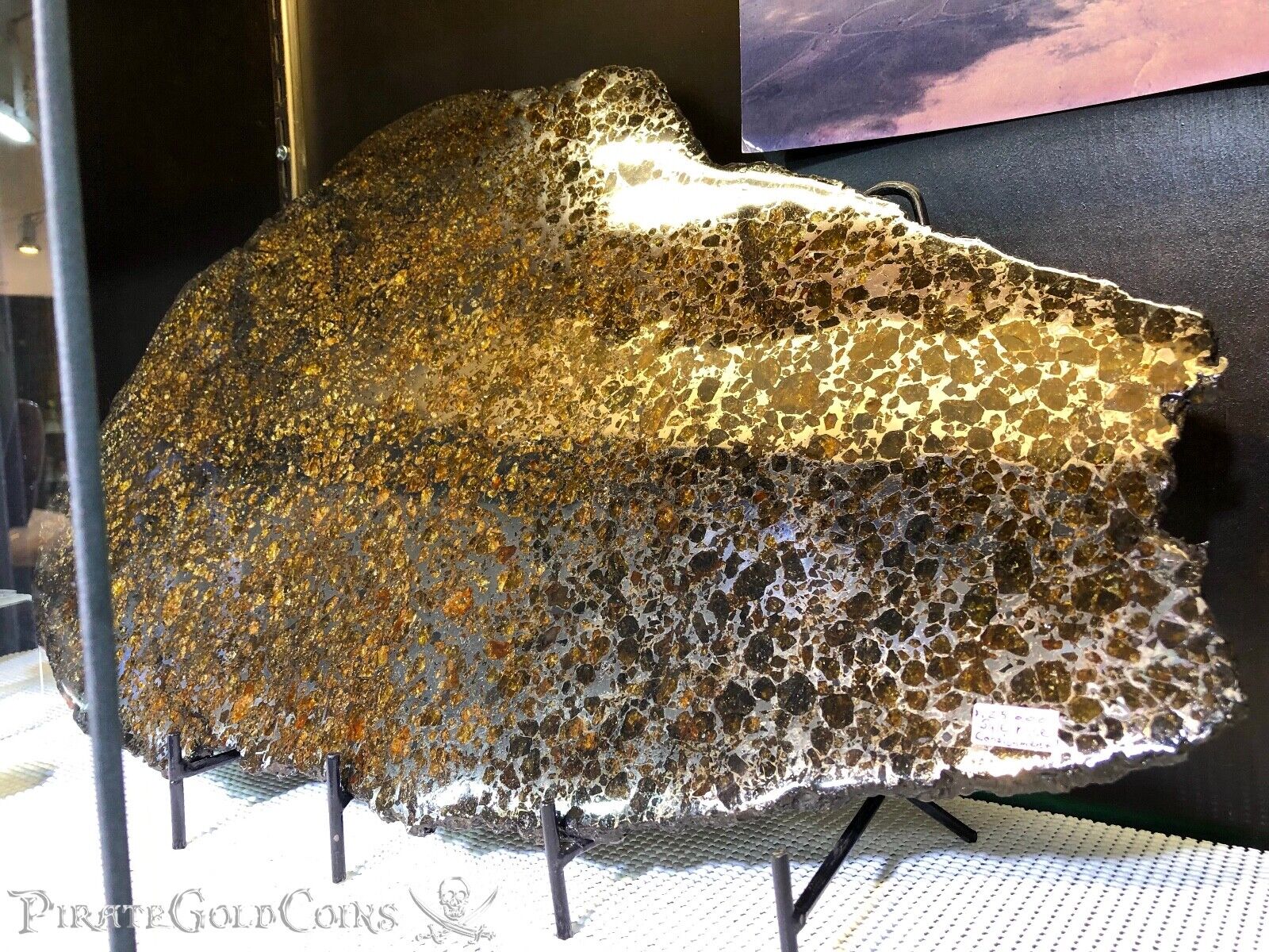 METEORITE PALLASITE WALL DISPLAY DECOR  PIRATE GOLD COINS METEOR SPACE