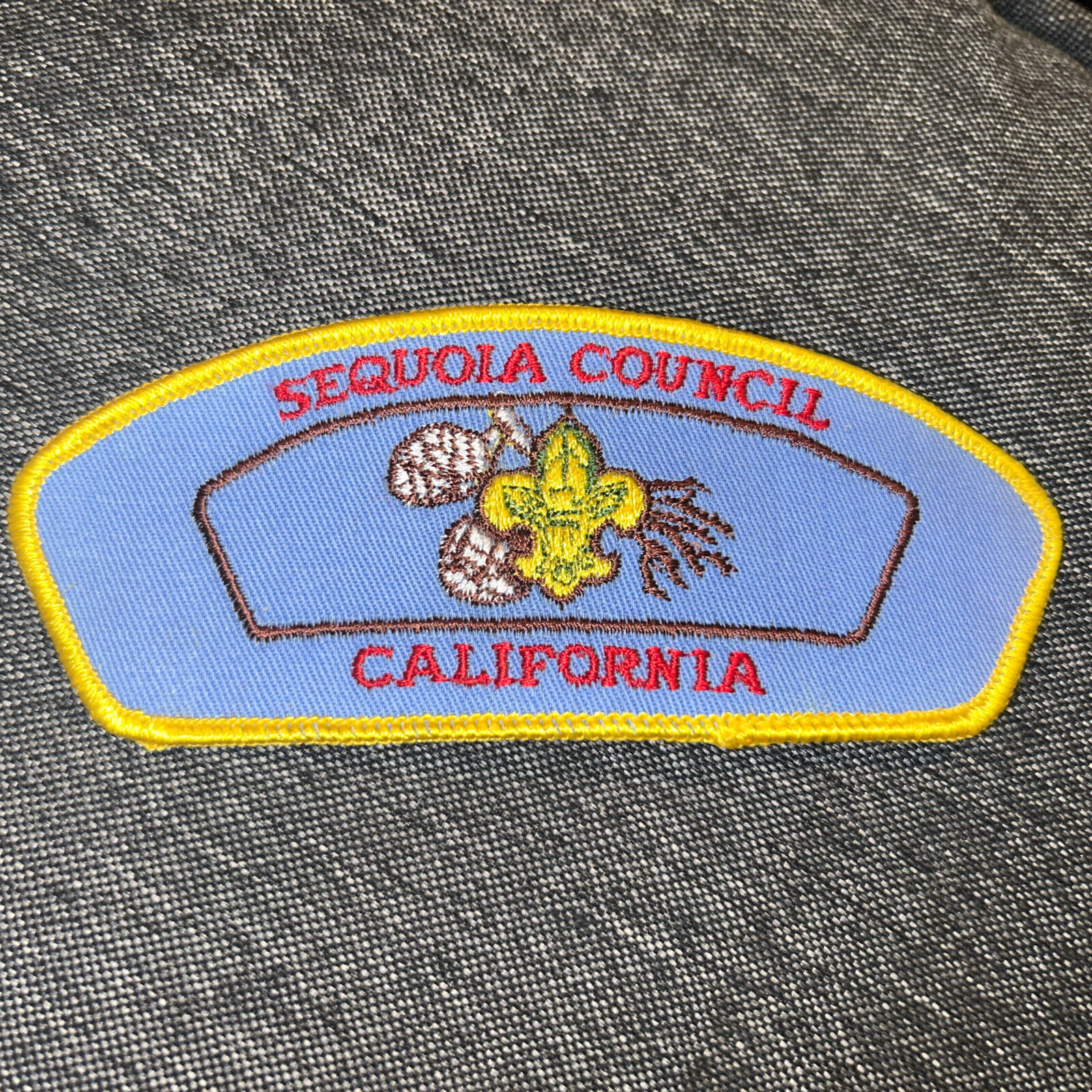 MINT CSP Sequoia Council California T-2