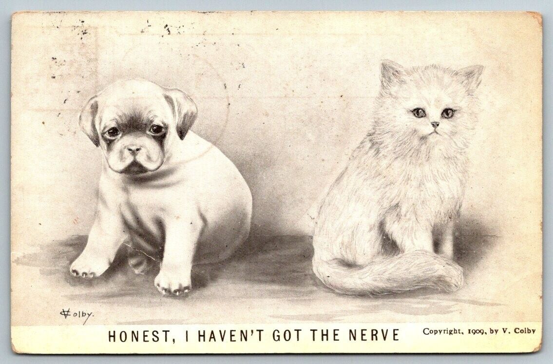 1911  Puppy and Kitten   Artist Signed V. Colby   Postcard