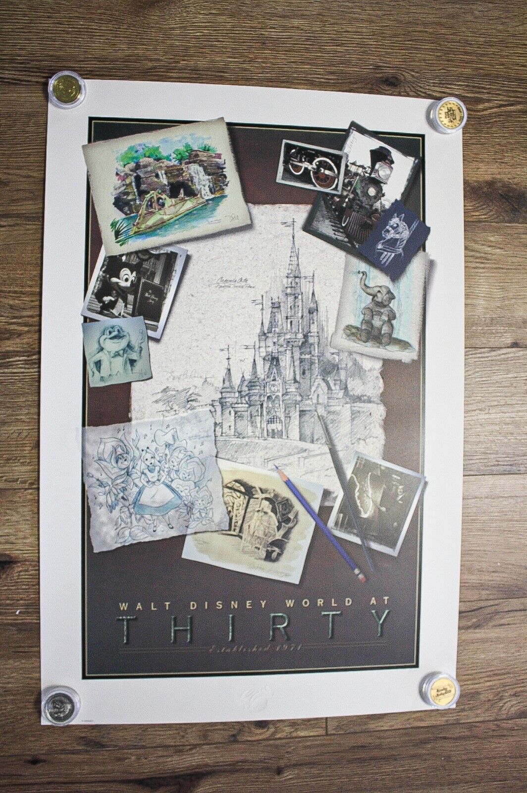 Walt Disney World at Thirty Poster Artist Proof Lithograph - RARE