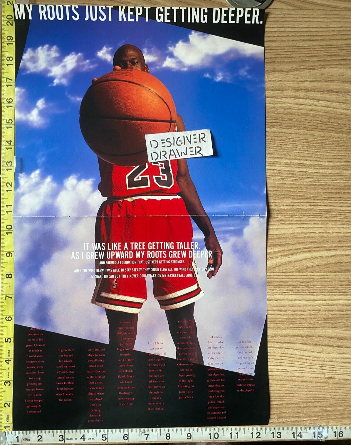 Michael Jordan Basketball Photo Book Photograph: Roots Get Deeper