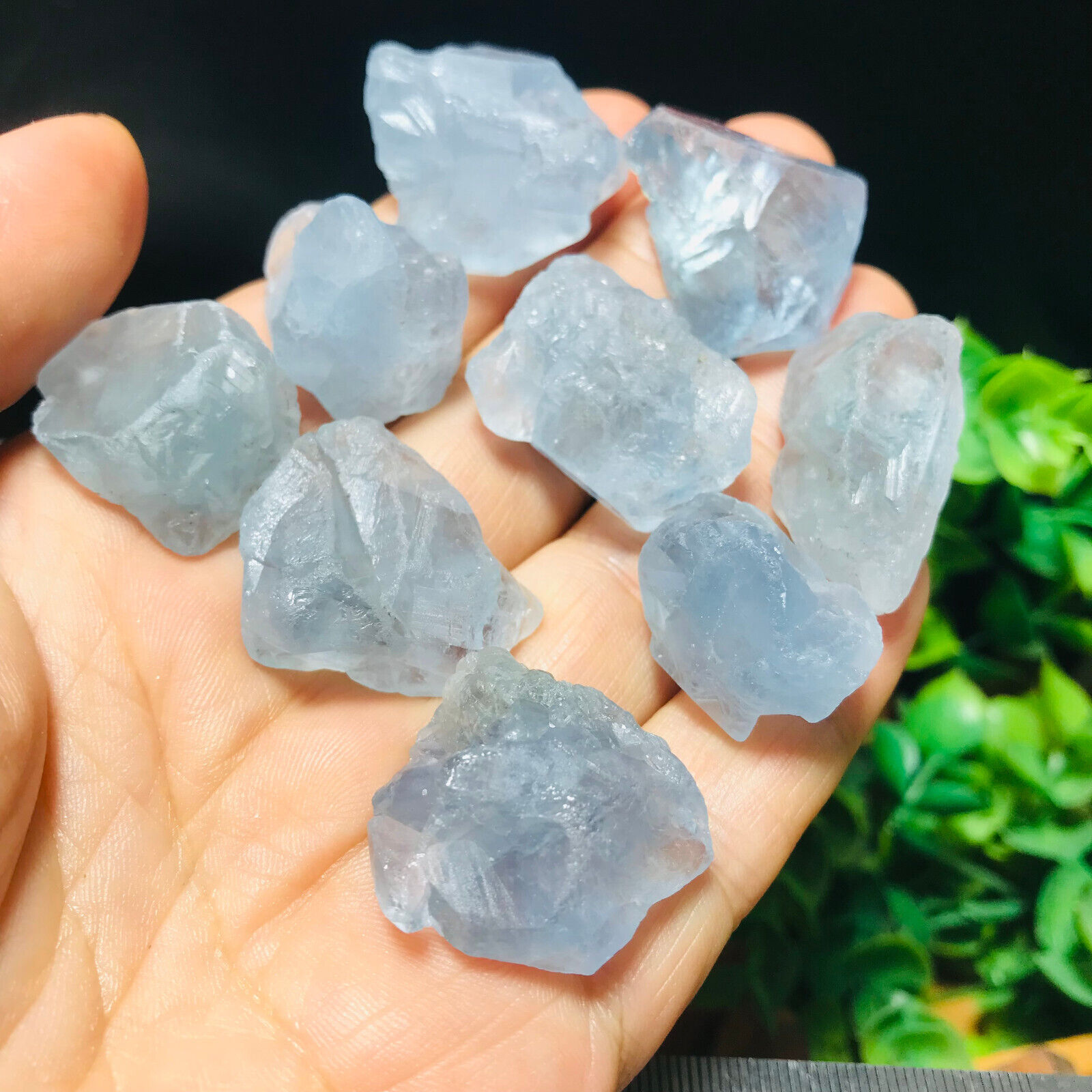 9pcs 100g Natural Beautiful Blue Celestite rough Crystal Mineral Specimen 21