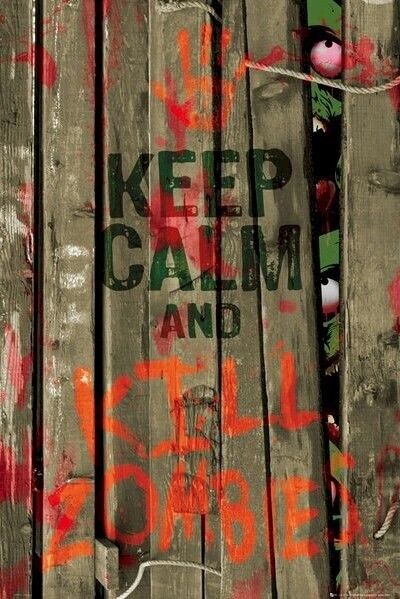 ZOMBIE POSTER ~ KEEP CALM AND KILL ZOMBIES 24x36 Carry On Living Walking Dead