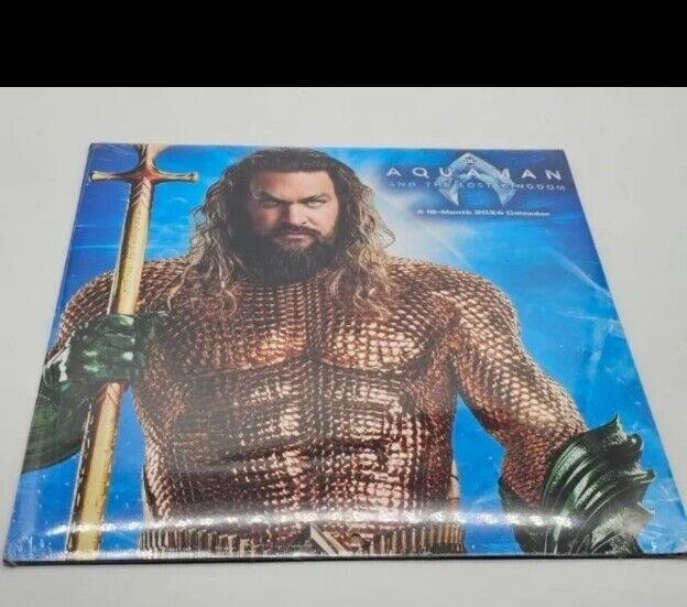 Aquaman and The Lost Kingdom 2024 Wall Calendar NEW 12x12 16 Months