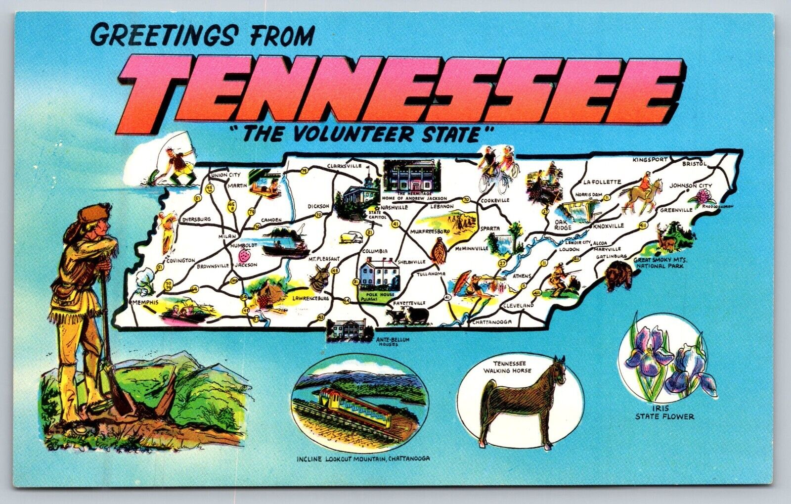 Vintage Postcard 1969 Greetings From Tennessee The Volunteer State Nashville TN