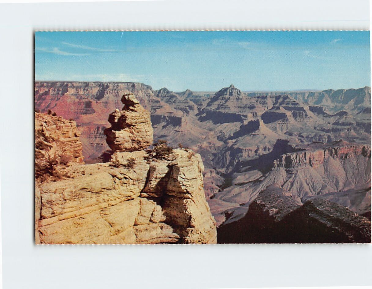 Postcard Duck on the Rock Grand Canyon National Park Arizona USA