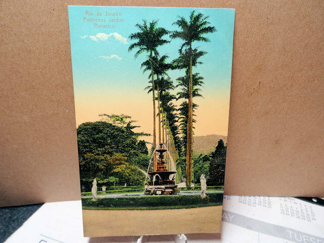 1910 Postcard Rio de Janeiro Brazil Palmeiras Jardim Botanico