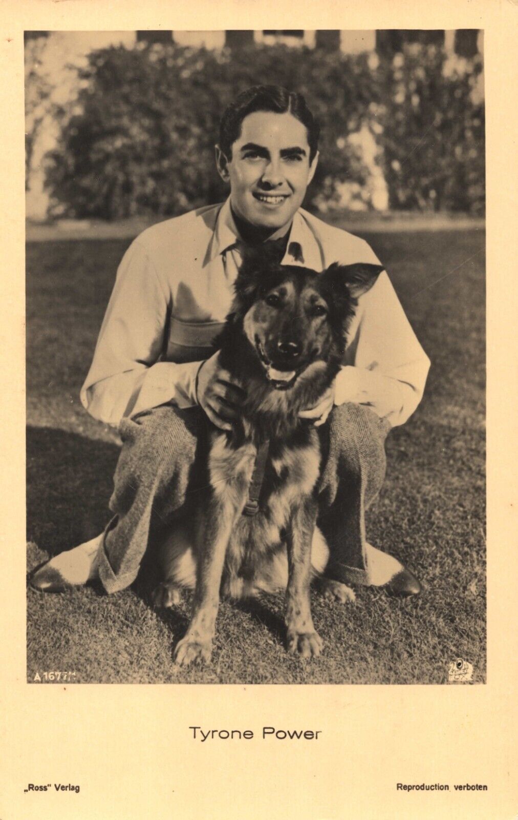 Tyrone Power with German Shepherd Dog Vintage 1928 Photo Postcard by Ross Verlag