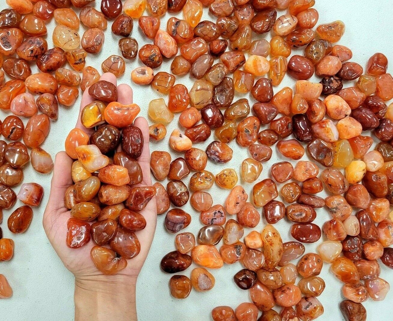 Tumbled Carnelian Crystal Stones size SMALL 1/2 inch to 1 inch