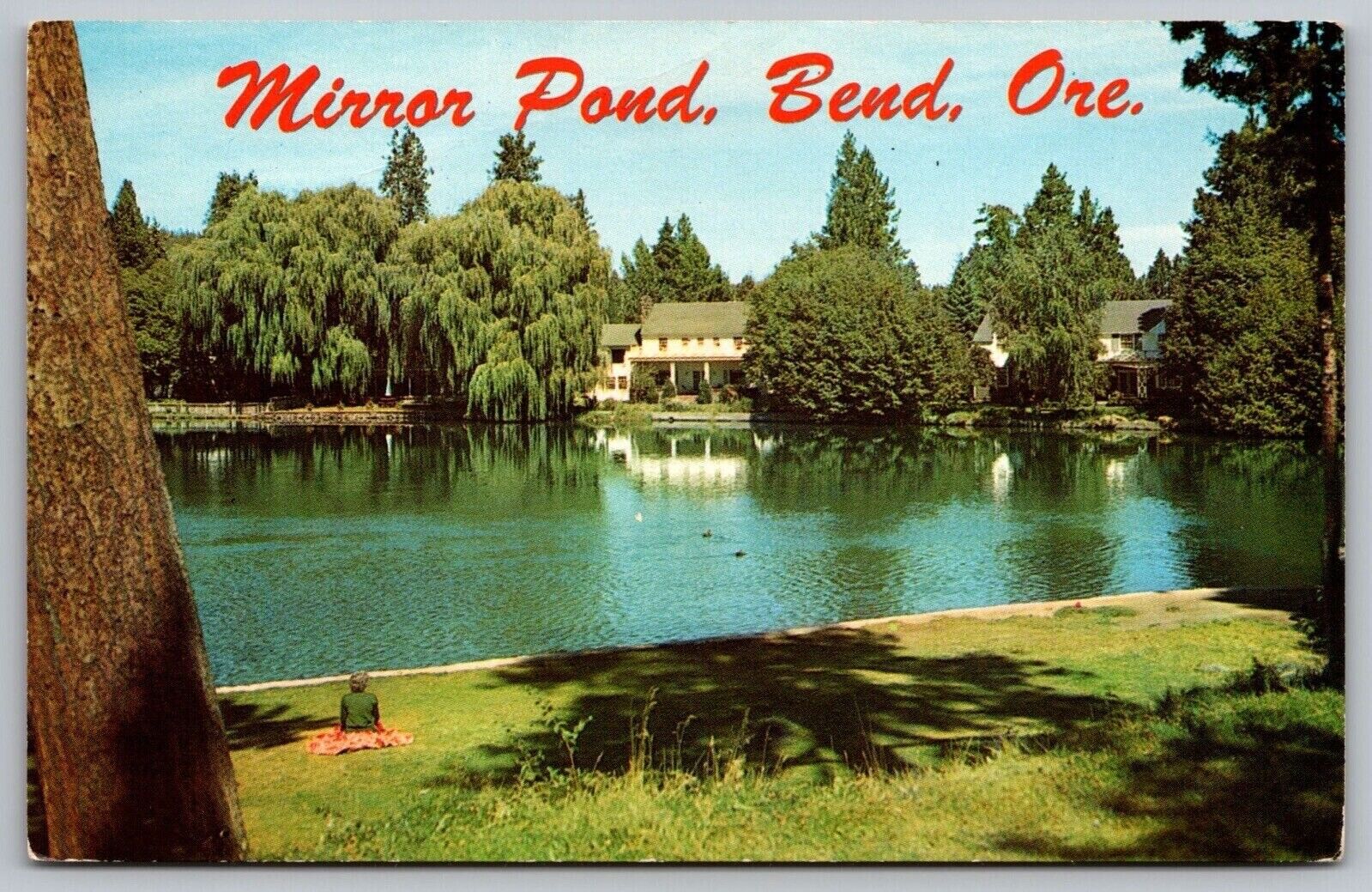 Mirror Pond Bend Oregon Drake Park Downtown Waterfront Reflections VNG Postcard