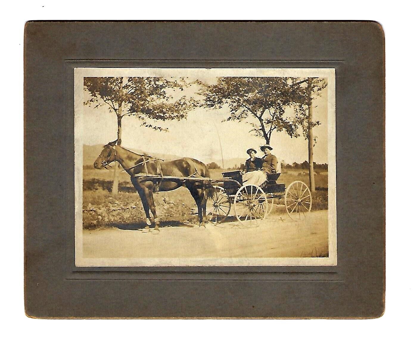 c1890\'s Cabinet Card Photo 2 Men Riding Horse & Cart