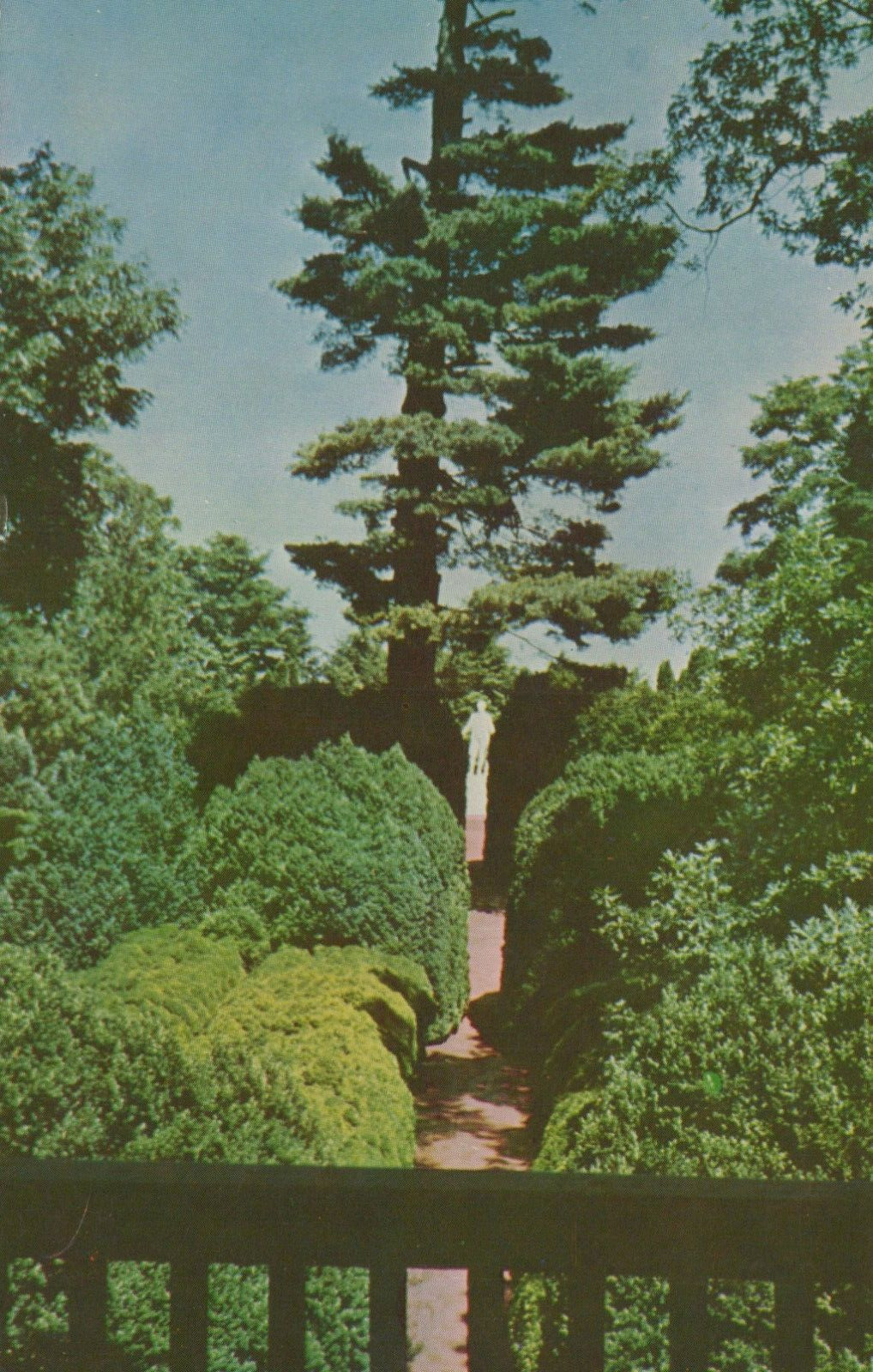 Garden Ash Lawn Home Of James Monroe Charlottesville VA Chrome Vintage Postcard