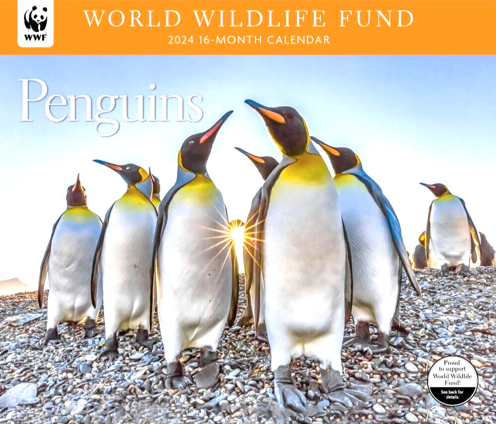 WWF (World Wildlife Foundation) Penguins 2024 Wall Calendar New