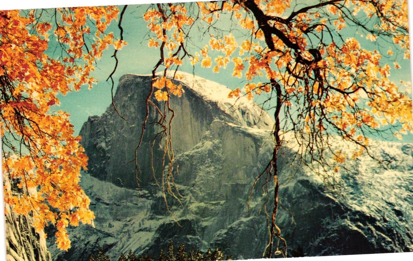 Vintage Postcard- Half Dome, Yosemite 1960s