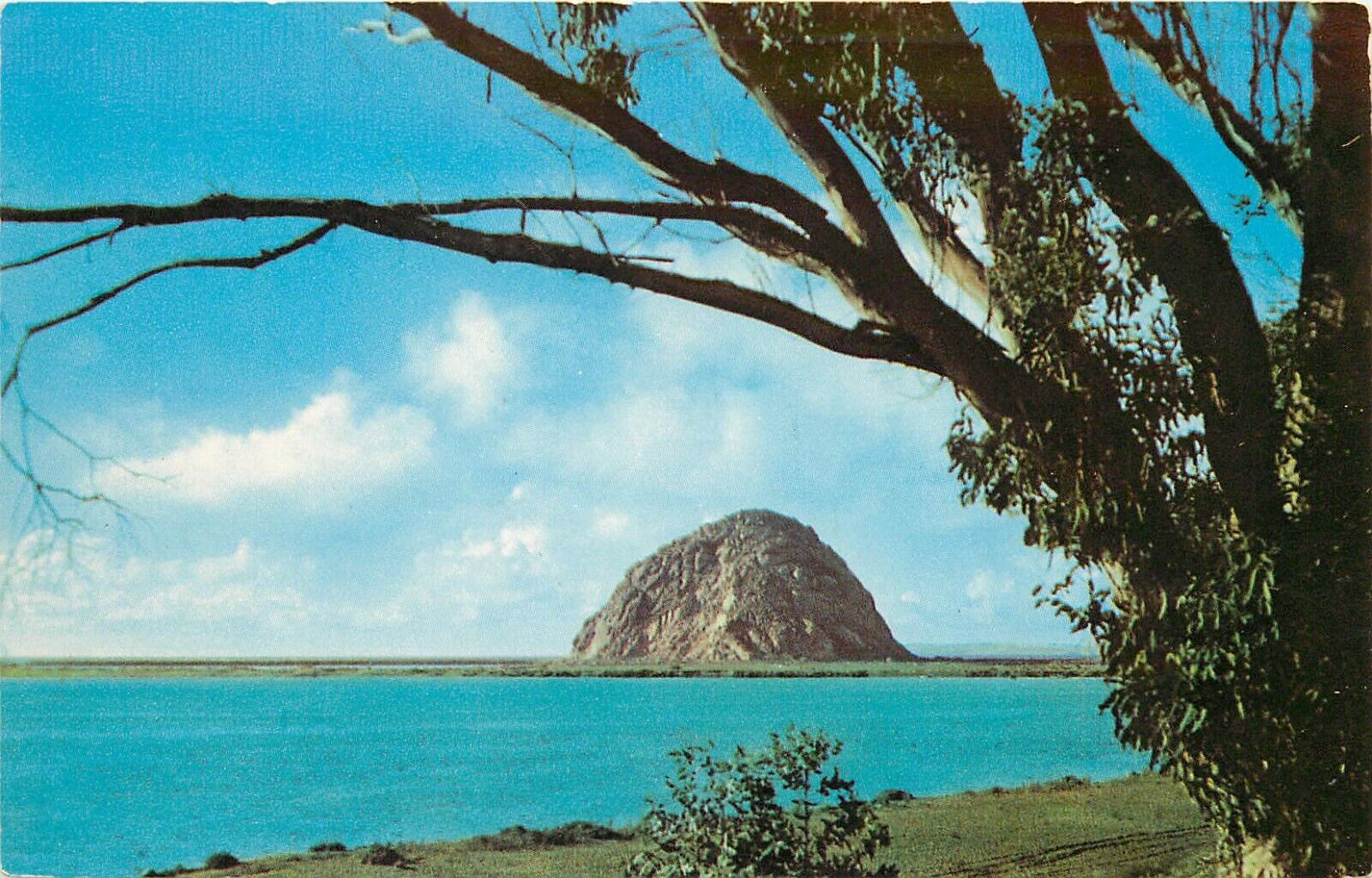 Morro Rock San Luis Obispo California CA Postcard