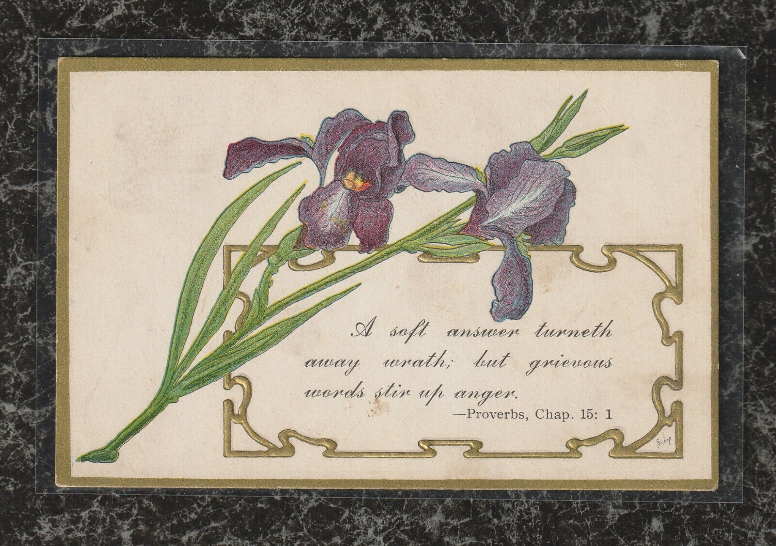 1911 Postcard Artist Signed \'Bishop\' Irises Bible Verse \'A soft answer ...\'