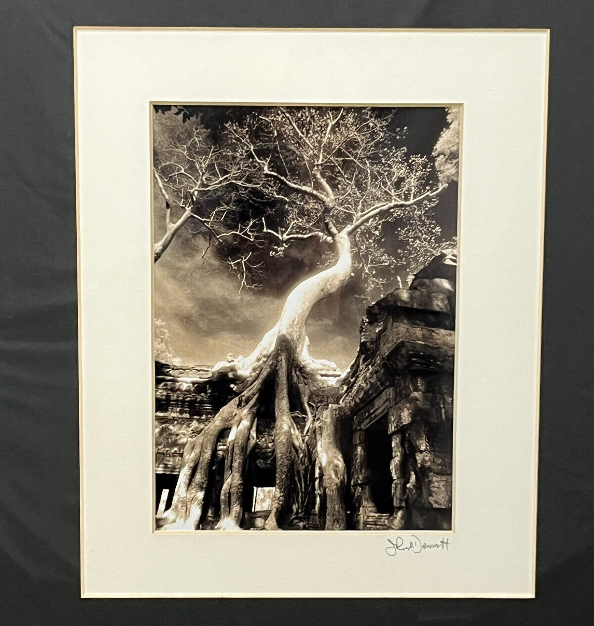 John McDermott Signed Photograph Print Angkor Wat Cambodia Tree  19 ¾” x 17 ¾”