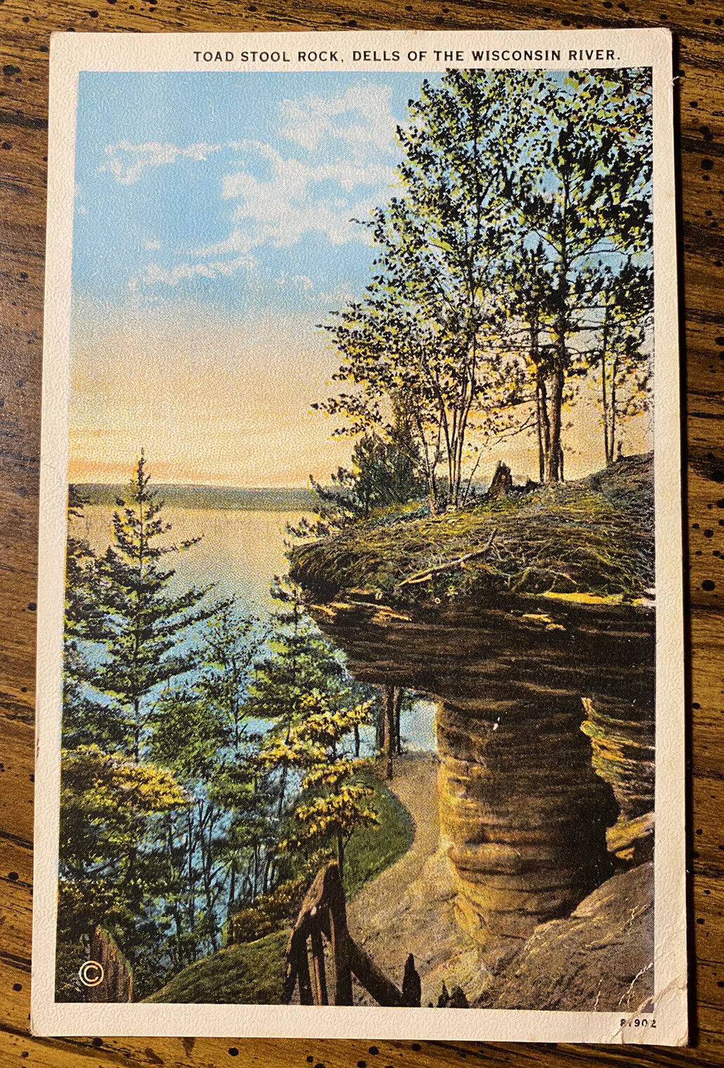 Vintage Postcard Toad Stool Rock, Dells Of The Wisconsin River