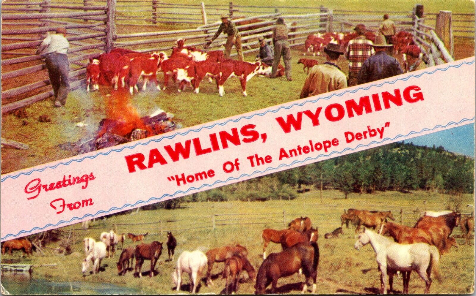 c1960\'s Greetings From Rawlins Wyoming WY Cowboys Unposted Vintage Postcard