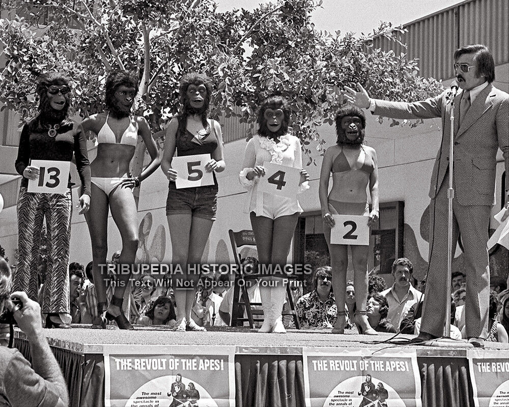 Vintage 1972 Photo Most Beautiful Ape Beauty Bikini Contest - Planet of the Apes