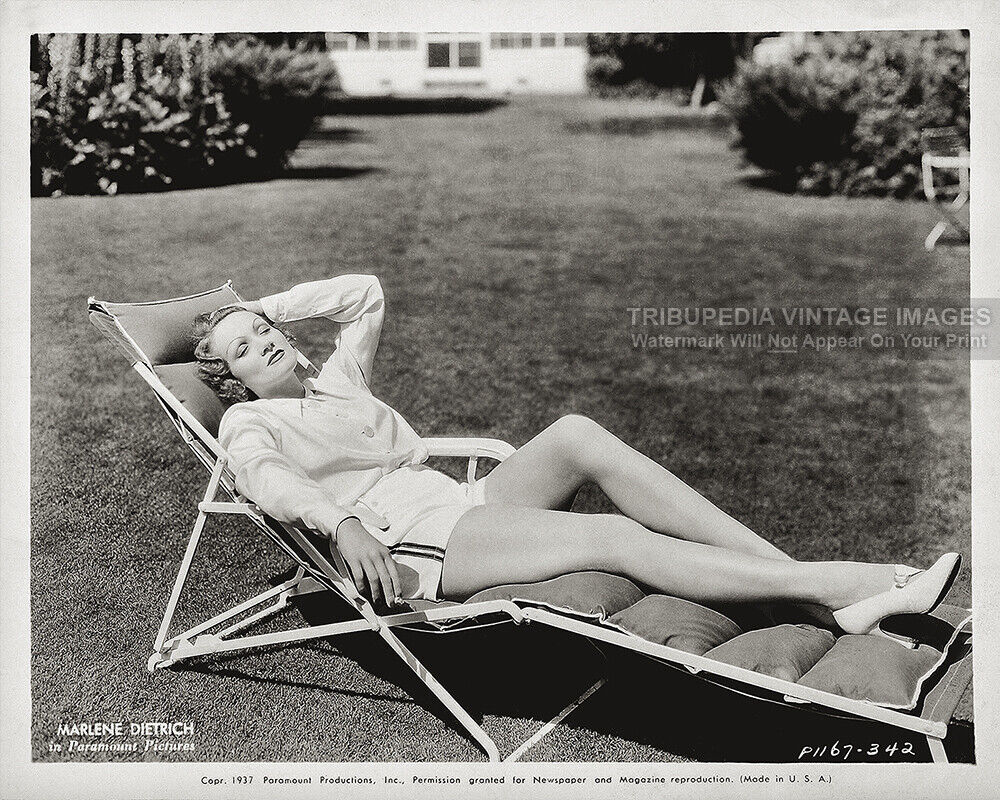Vintage 1937 Marlene Dietrich Paramount Pictures Pinup Publicity Photo Celebrity
