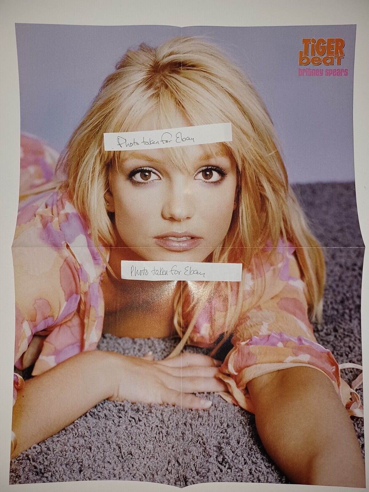 Britney Spears Nick Carter Aaron Carter 15x20 teen magazine poster