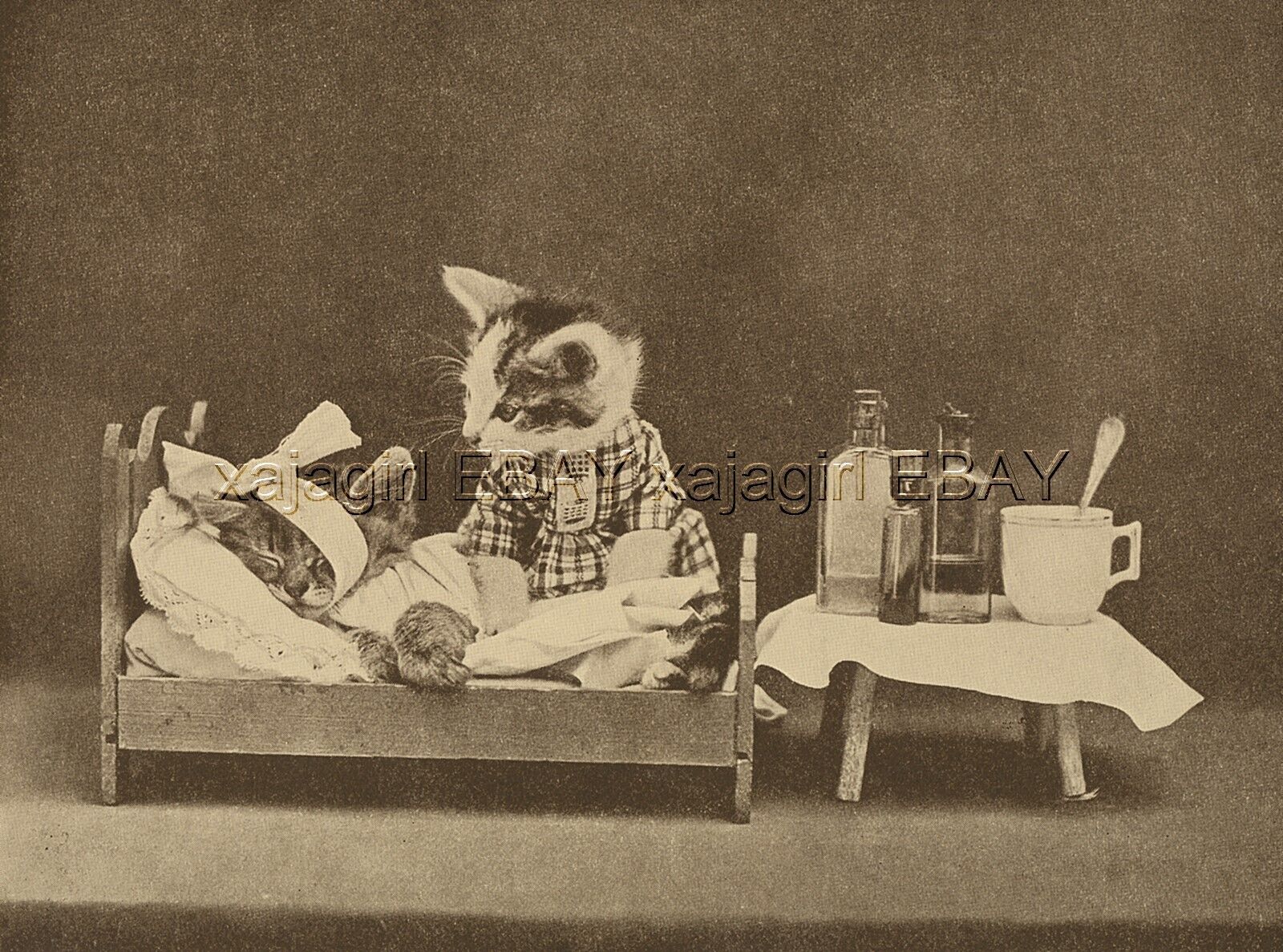Cat Dressed Veterinarian or Doctor Nurse Kitten & Sick Patient, Cute 1915 Print