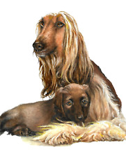 ✤ Original Oil Puppy Dog Portrait Painting AFGHAN HOUND Artist Signed Artwork picture