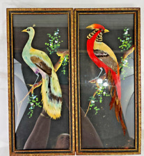 Set of 2 Vintage Mexican Bird Feathercraft Wood Framed Art Pieces Pictures picture