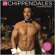 CHIPPENDALES - 2023 WALL CALENDAR - BRAND NEW - DDD958 picture