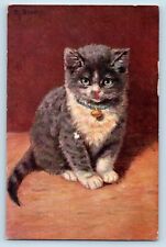 Artist Signed Postcard Cute Cat Kitten Animal c1910's Unposted Antique picture