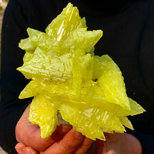467G Minerals ** LARGE NATIVE SULPHUR OnMATRIX Sicily- FREE picture