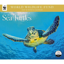 WWF (World Wildlife Foundation) Sea Turtles 2024 Wall Calendar New picture
