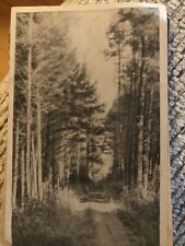 c1910s The Road Through Forest RPPC Photo Postcard Antique Vintage picture