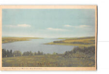 Moncton New Brunswick Canada Postcard 1930-1950 Petitcodiac River picture