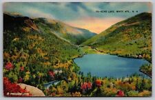 Echo Lake White Mountains New Hampshire Lakefront Franconia Notch PM Postcard picture
