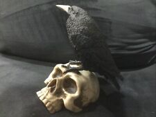 Edgar Allen Poe Bust Skull With Raven picture