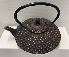 Vintage Japanese Cast Iron Teapot picture