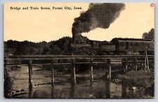 Bridge & Train Scene Forest City Iowa IA c1910 Postcard picture