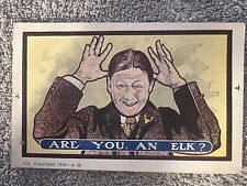 Vintage Elks Club Lodge Comic Humor Greeting  Postcard picture