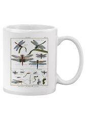 Dragonfly Encyclopedia Mug - Denis Diderot Designs picture