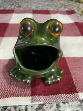 Vintage Handmade Frog Scrub Holder picture