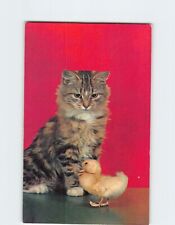 Postcard Kitten and Duckling picture