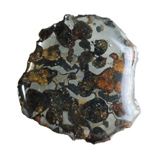 7.4g SERICHO pallasite Meteorite slice - from Kenya TA392 picture