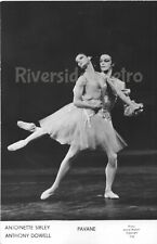 Antoinette Sibley, Anthony Dowell - Pavane - Ballet Photo - 1973 - (#100) picture
