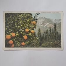 Oranges And Snow In California CA Orange Groves c1929 Vintage Postcard picture
