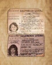 Jim Morrison The Doors Old California Driver's Licenses 8x10 Photo picture