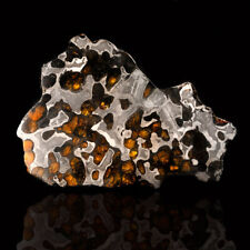 Brenham Pallasite Meteorite // 67 Grams picture