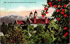 Vtg Postcard Redlands California CA -The Burrage Place & Orange Grove Unused picture